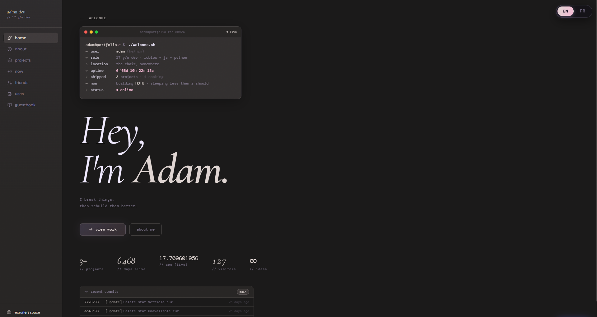 An earlier version of Adam’s personal website